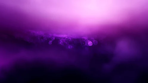 Abstract purple bokeh lights with dreamy atmospheric haze effect.