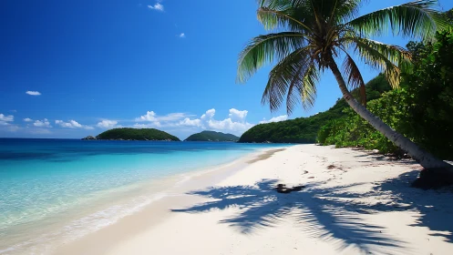 Tropical Beach Paradise with Palm Trees, Turquoise Waters, and Island Backdrop.