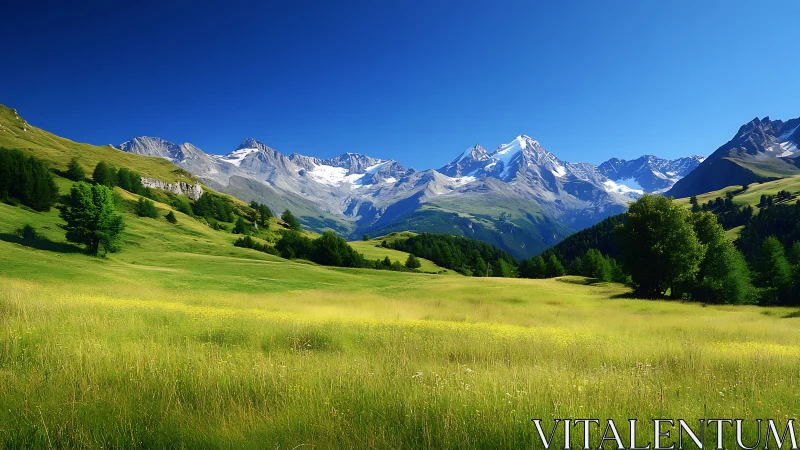 Alpine meadows glow beneath crystal peaks and endless blue.