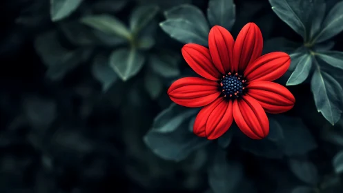 Vibrant Red Flower Blooming Among Dark Green Foliage.