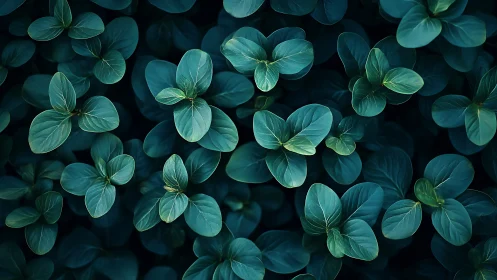 Gentle green leaves create a calming, softly lit forest carpet