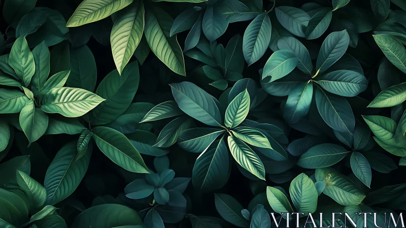 Lush tropical foliage in deep teal green cinematic lighting.
