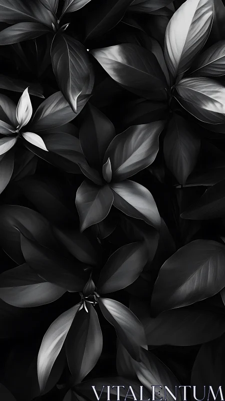 Monochrome tropical foliage with layered glossy leaves.