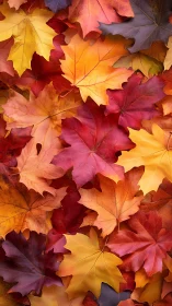 Colorful autumn maple leaves in a cozy seasonal carpet.
