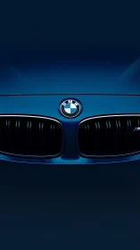 BMW kidney grille close-up on deep blue sports hood.