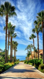Palm-lined coastal avenue under vivid blue sky at resort.
