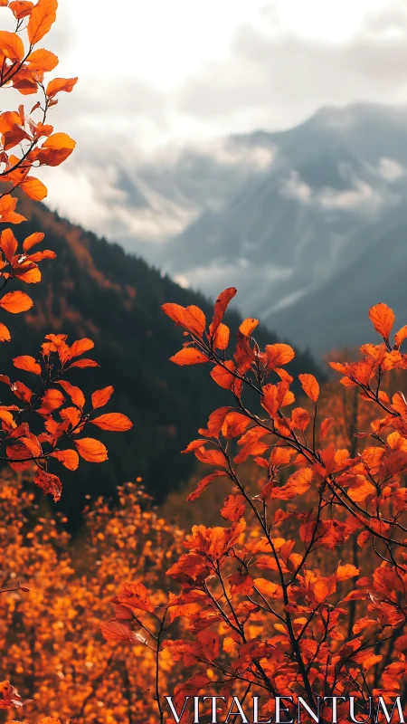 Autumn foliage frames misty alpine mountains in soft focus