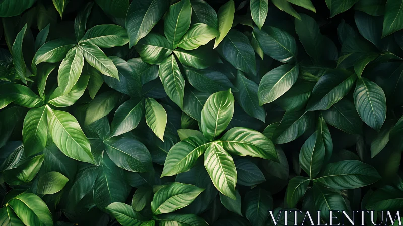 Lush tropical leaves create a serene, immersive green canopy