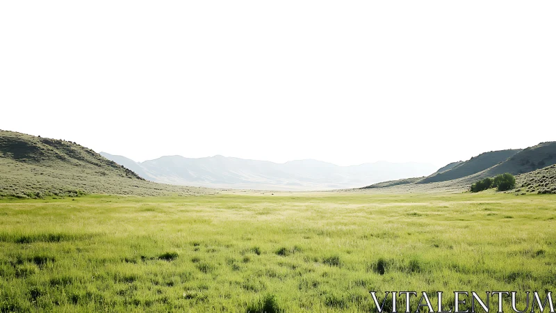 Sunlit grassland valley framed by distant rolling hills.