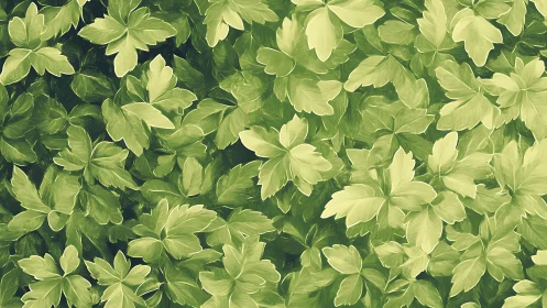 Layered green foliage pattern with soft painterly strokes