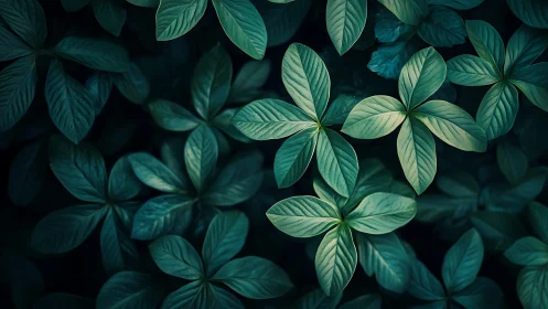 Leafy starbursts quietly orbit through a midnight garden dream