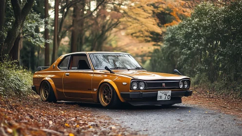 Autumn road crowns a classic orange Skyline with quiet glory.