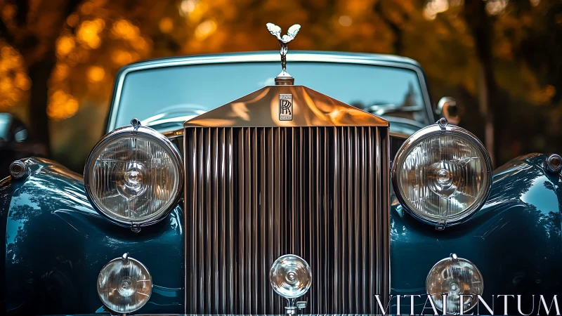 Front-on macro view of classic Rolls-Royce grille under warm bokeh