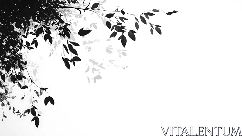 Minimalist black and white leafy branches in upper corner illustration.