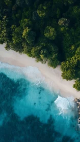 Verdant Edge Meets Turquoise Surge.