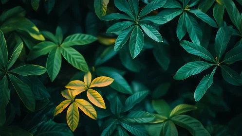 Emerald canopy with golden leaves whispering in twilight hush.