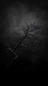 Gnarled bare tree silhouette against moody storm-lit sky.
