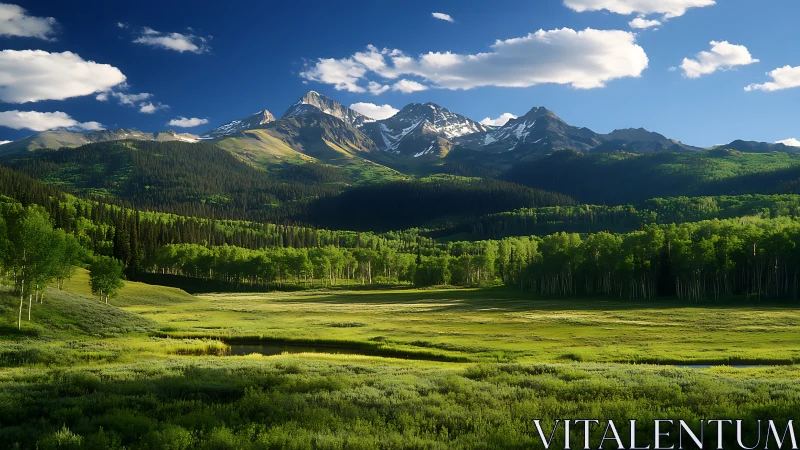 Endless green valley rests peacefully beneath alpine peaks