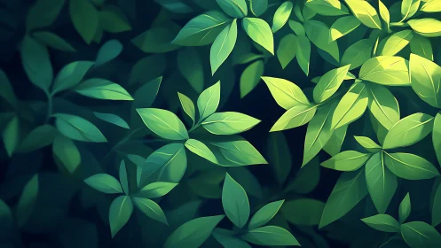 Overhead view shows layered green leaves in soft focus