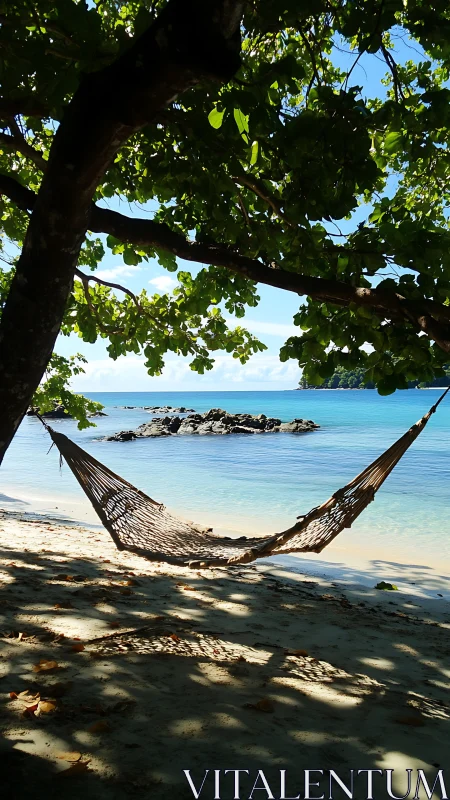 Hammock Sanctuary Beneath Coastal Tree Shade.