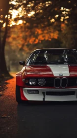 Low-angle telephoto view isolates vintage BMW race car front