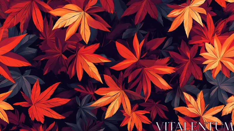 Crimson maple foliage pattern over deep shadowed ground.