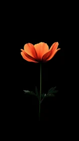 Crimson Petals Strike Against Darkness