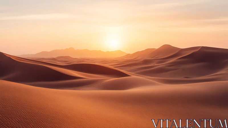 Low-angle sun illuminates wind-sculpted desert dunes with soft haze
