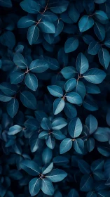 Midnight leaves quietly rehearse their moonlit geometry