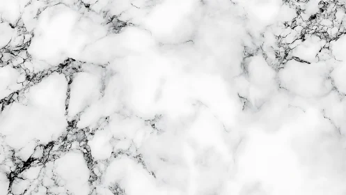 White marble surface with soft gray and black veining pattern.