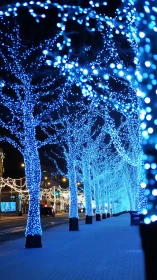 Magical blue city trees glowing along a peaceful winter walk.