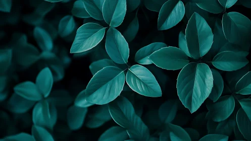 Photorealistic teal foliage study with rhythmic leaf repetition.