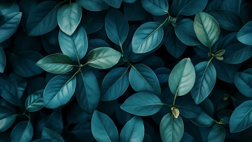 Dense teal foliage pattern shows controlled tonal compression