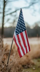 United States flag on metal pole in dry outdoor landscape.