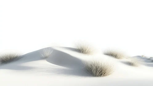 Minimalist white sand dunes with sparse desert grasses.