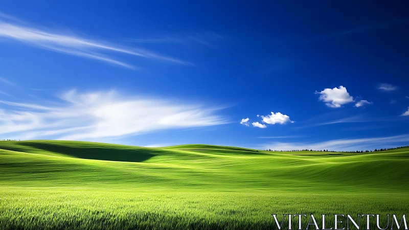 Endless emerald hills drifting beneath a deep sapphire sky.