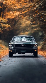 Classic black muscle car on empty autumn forest road.
