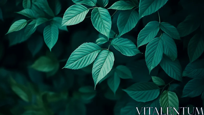 Macro foliage array with cool-toned venation contrast mapping.