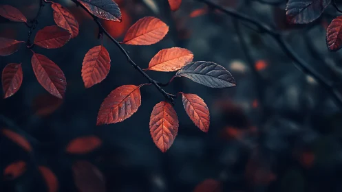 Vibrant Red Autumn Leaves on Branch, Moody Nature Photography.