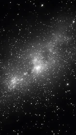 Dense star field displays concentrated galactic core region