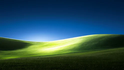 Sunlit green hillside gently rises beneath deep blue sky