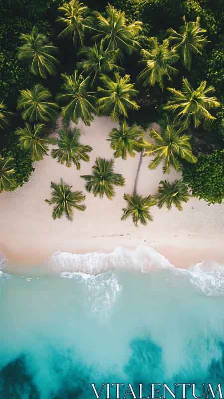 Aerial Tropical Coastline with Palm Trees and Turquoise Waves