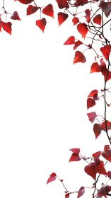 Red vine leaves form vertical border on white background