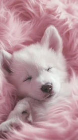 White puppy sleeping on pink fluffy blanket, close-up view.