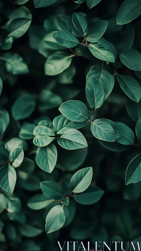 Whispering teal leaves weaving a soft forest hush.