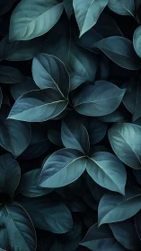 Overlapping dark green foliage in uniform close-up view.