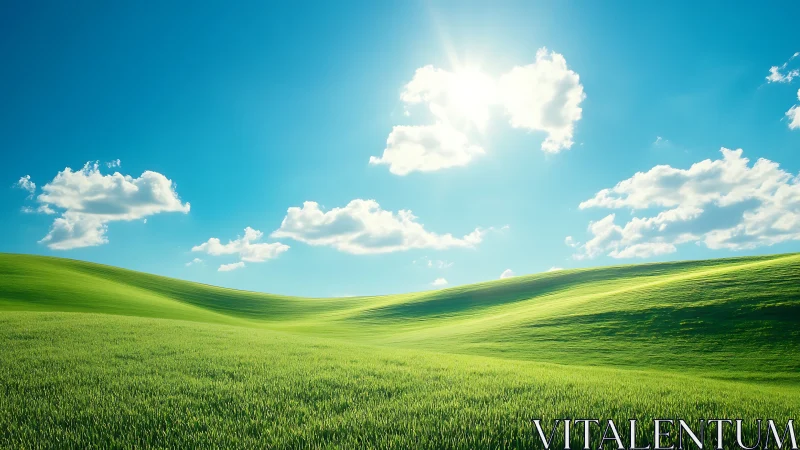 Sunny green hills under clear blue sky at midday.