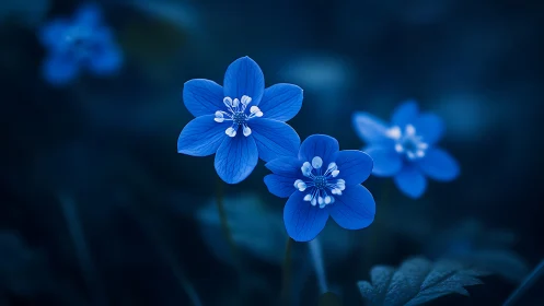 Twilight Blooms: Vivid Blue Petals Dance in Midnight Garden