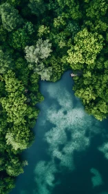 Aerial view of forest river winding through dense tree canopy