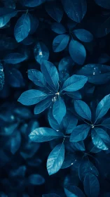 Deep blue foliage fills frame with cool nocturnal contrast